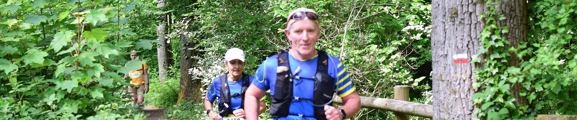 Cliquez pour afficher ou masquer les boutons